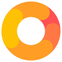 logo_pirani_risk