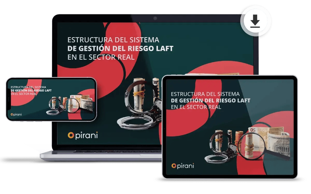 Ebook_download-estructura-del-sistema-de-gestion-del-riesgo-LAFT-en-el-sector-real