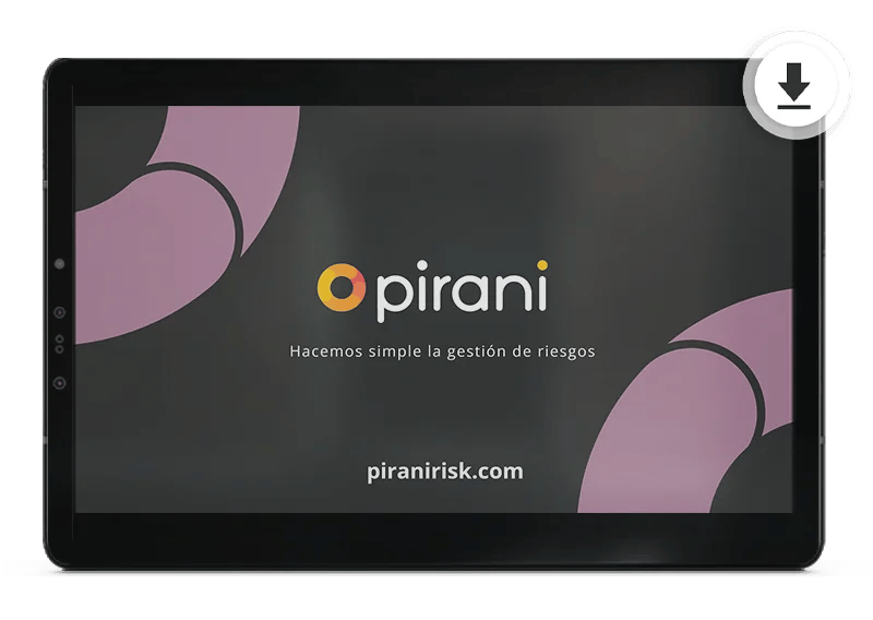 pirani-auditoria-interna