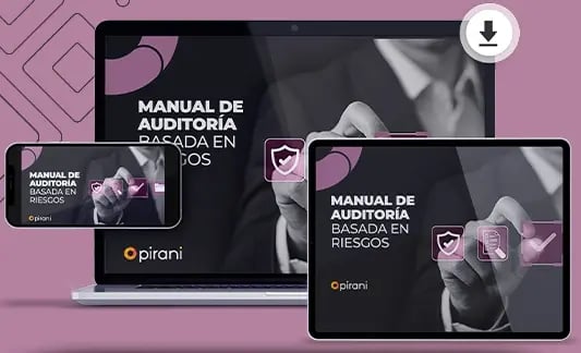 lp ebook Manual de auditoria basada en riesgos