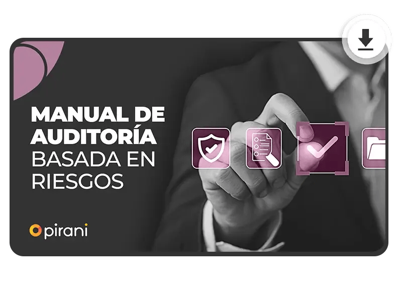 manual de auditoria 1