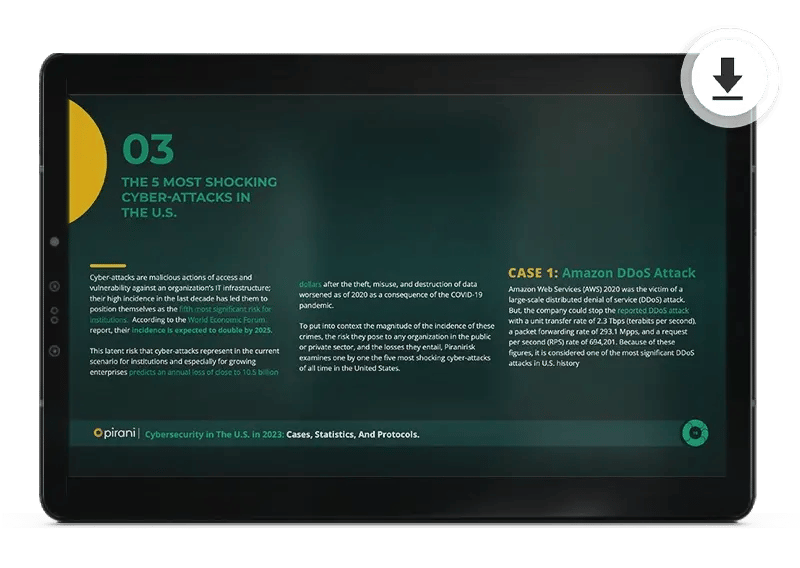 4-Cybersecurity-in-The-U.S.-in-2023-Pirani