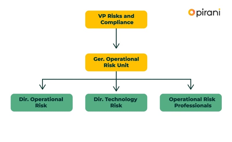 structure-pirani-risk