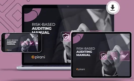 Risk-Based Auditing Manual-thumbnail