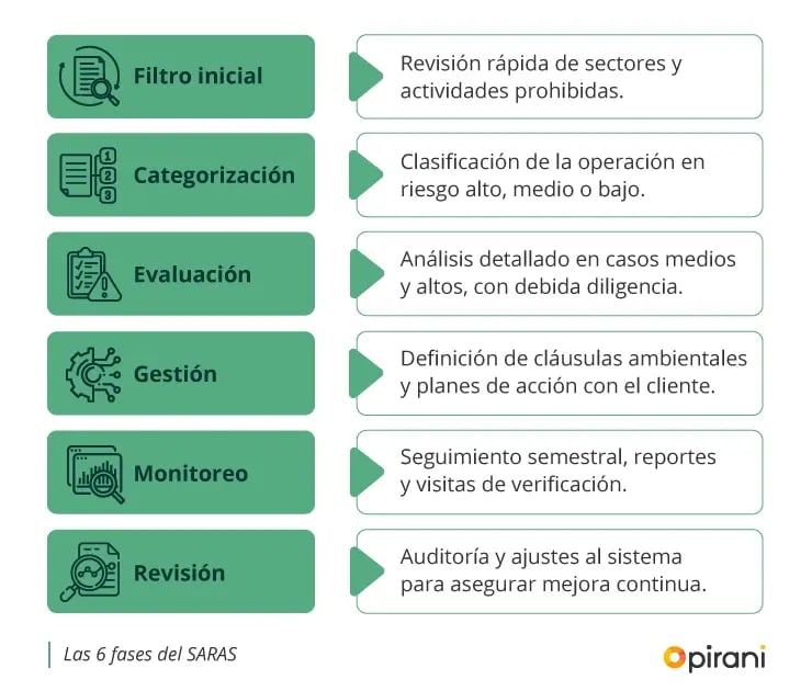 las-6-fases-del-saras