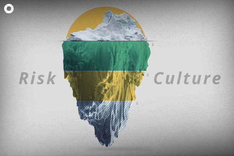 What does risk culture mean?