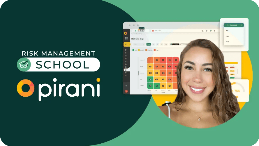 What-is-risk-management-Pirani