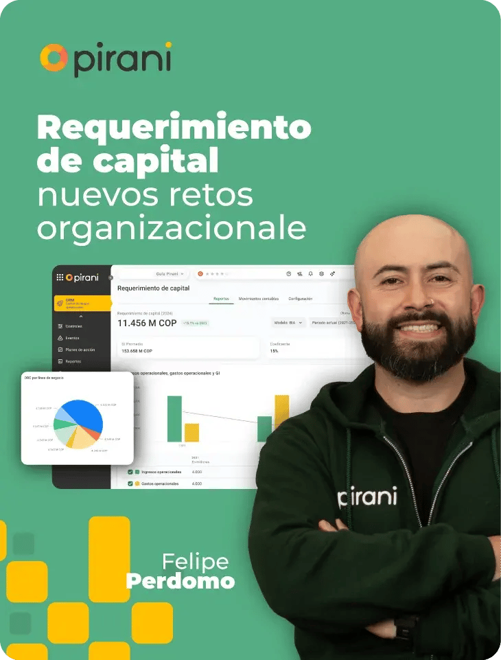 form-Requerimiento-de-capital-Pirani-escuela