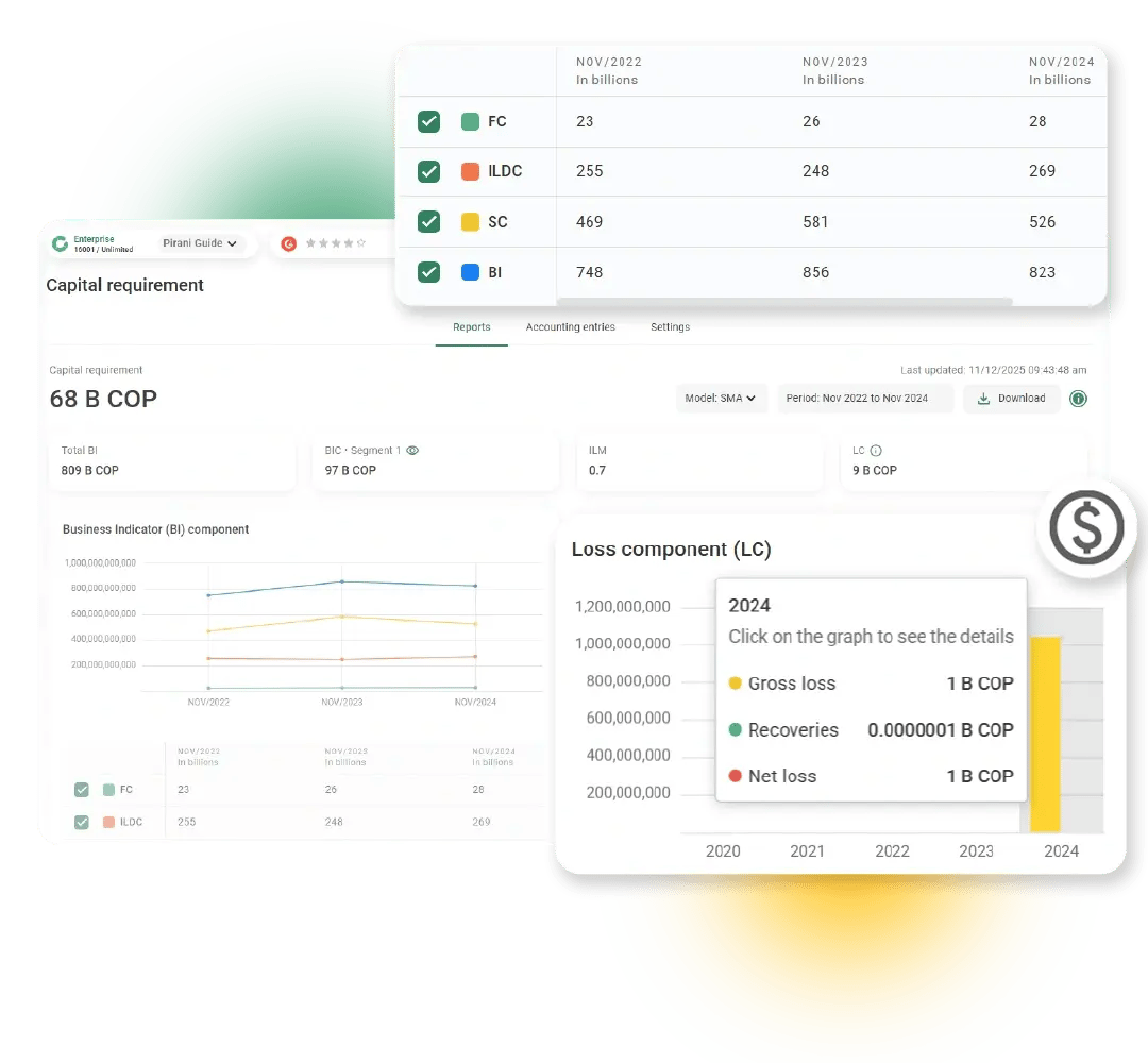 2-capital-requirement-pirani