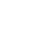 icon1