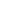 icon5