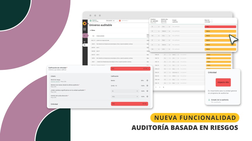 product-edit-35-auditoria-basada-riesgos-ES (2)
