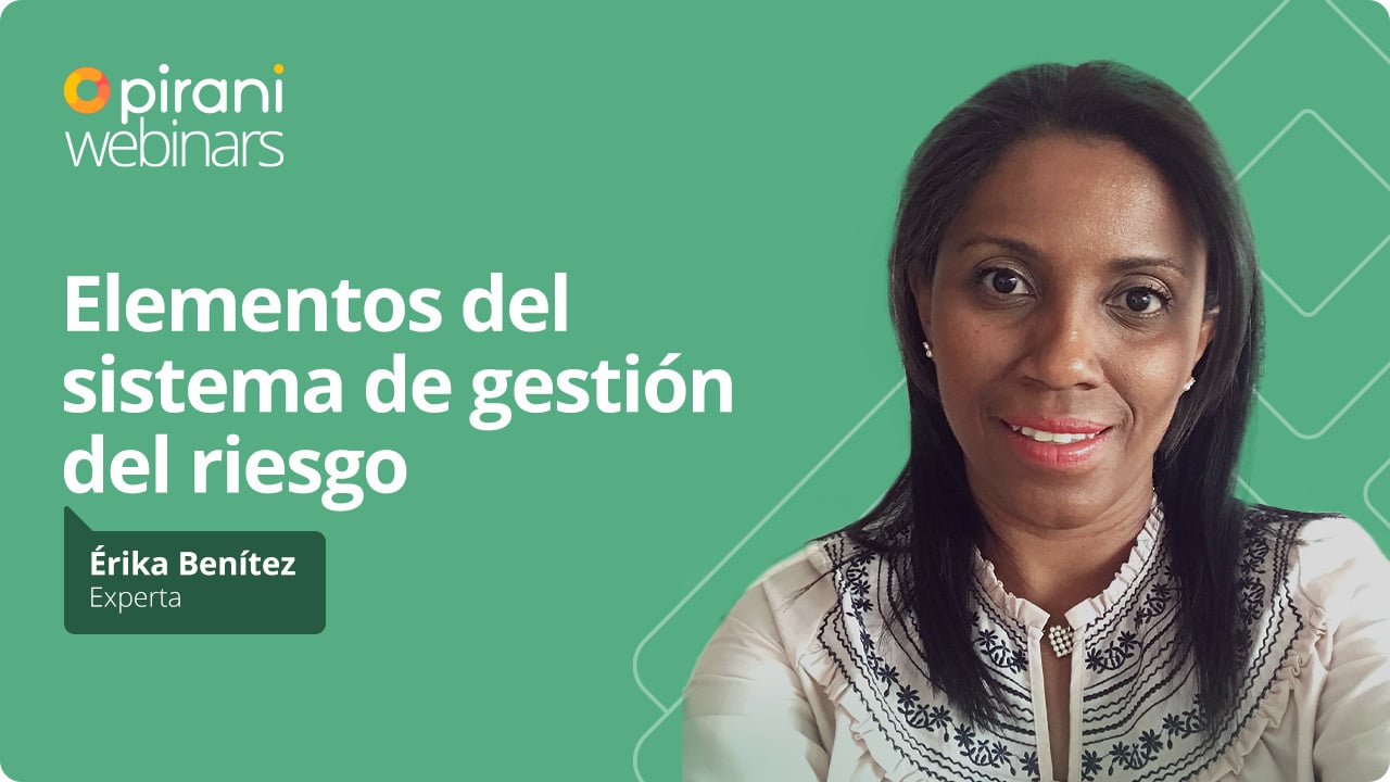 w_elementos_sistema_gestion_riesgo