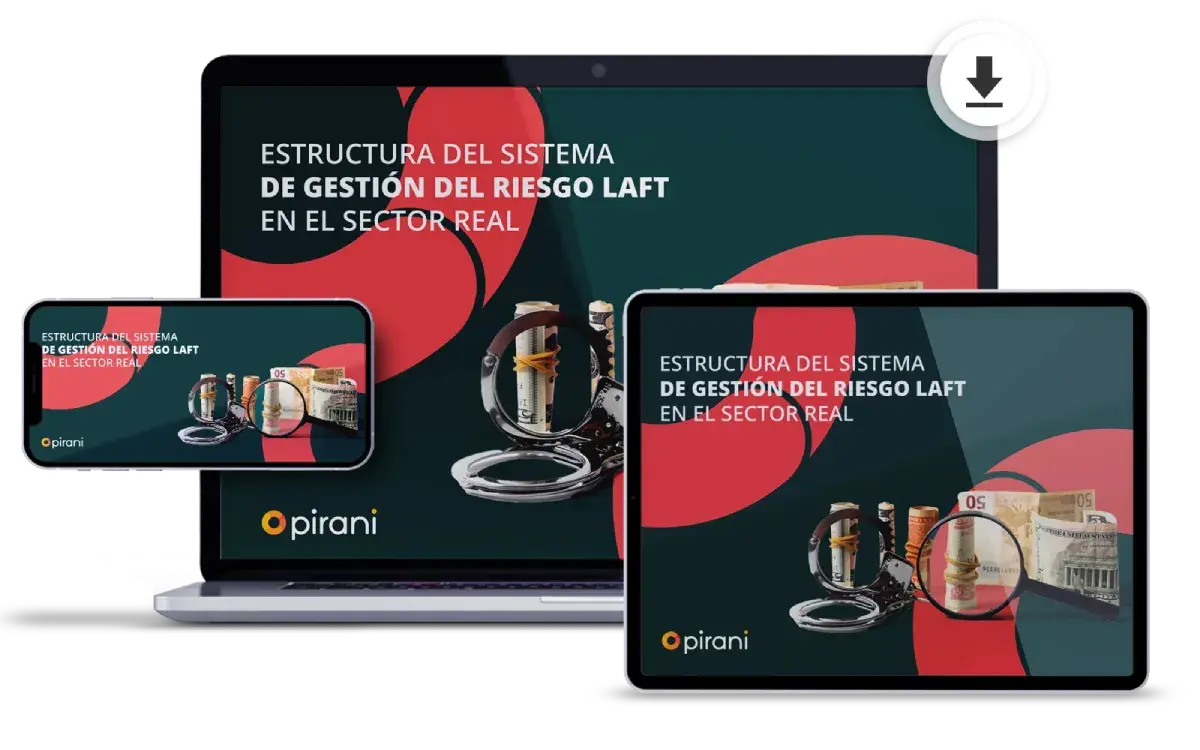 Ebook_download-estructura-del-sistema-de-gestion-del-riesgo-LAFT-en-el-sector-real