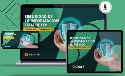 Seguridad de la información México