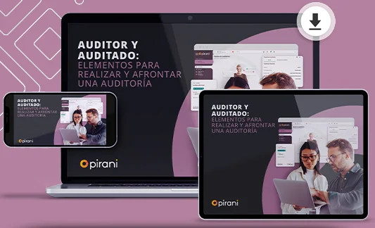 cover_ebooks-Auditor-y-auditado-elementos-para-realizar-y-afrontar-una-auditoria