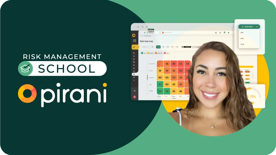 What-is-risk-management-Pirani